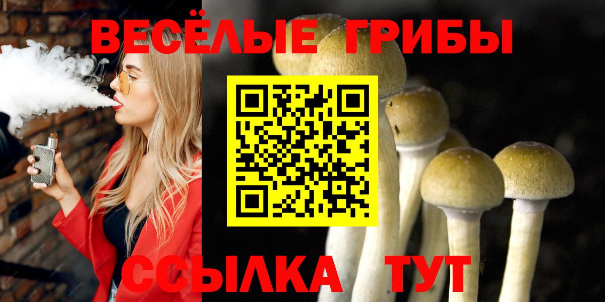 Ишимбай  наркошоп  Вход с VPN  Галлюциногенные грибы MAGIC MUSHROOMS 